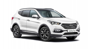 Коврик в багажник Hyundai Santa Fe IV 2018-2020 (5 мест)
