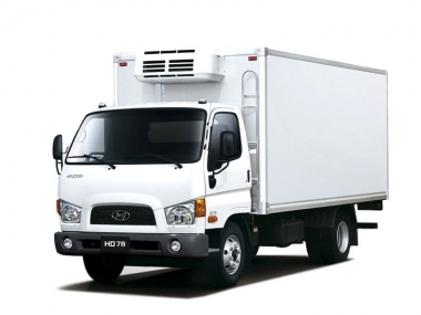 Коврики из экокожи 3D Hyundai HD78 2015