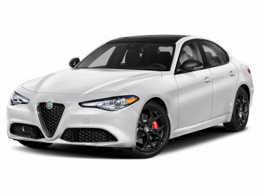 Коврики из экокожи 3D  Alfa Romeo Giulia II (952)